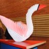 Дни Японии (1) Дни Японии (1)